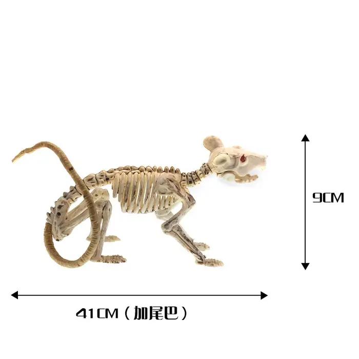 Squelette d'Halloween Piranha lézard araignée souris chauve-souris Scorpion squelette squelette Anim