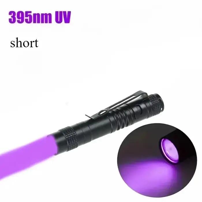 Mini lampe de poche UV Portable 395nm, lumière noire ultraviolette, stylo d'inspection d'argent avec