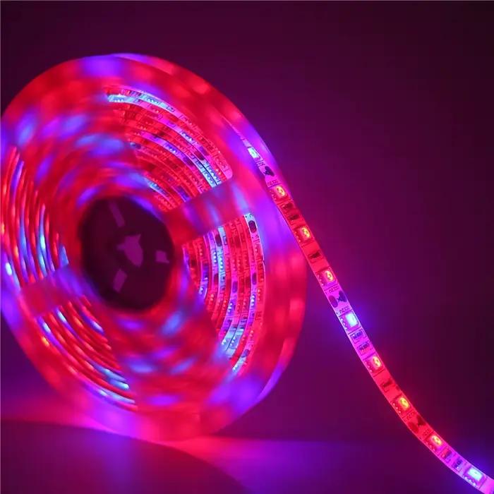 LED élèvent la lumière spectre complet LED bande lumineuse SMD5050 LED fleur plante Phyto lampes de 