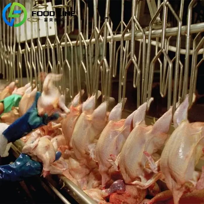 Ligne d'abattage de poulet de machine d'abattage d'abattoir de volaille