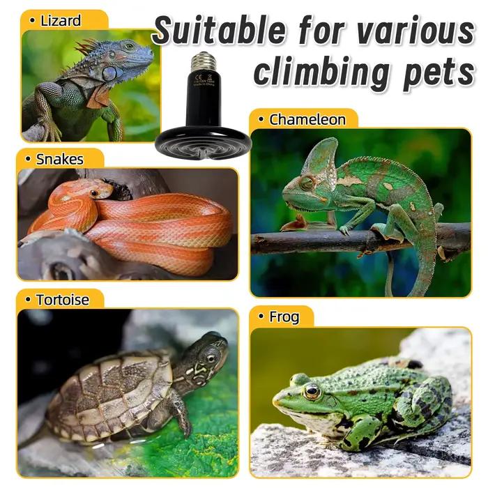 Lampe chauffante en céramique à infrarouge lointain pour reptiles et animaux de compagnie, ampoule émetteur de chaleur 110V/220V, 25W 50W 75W 100W 150W 200W, chauffage de trappe pour animaux