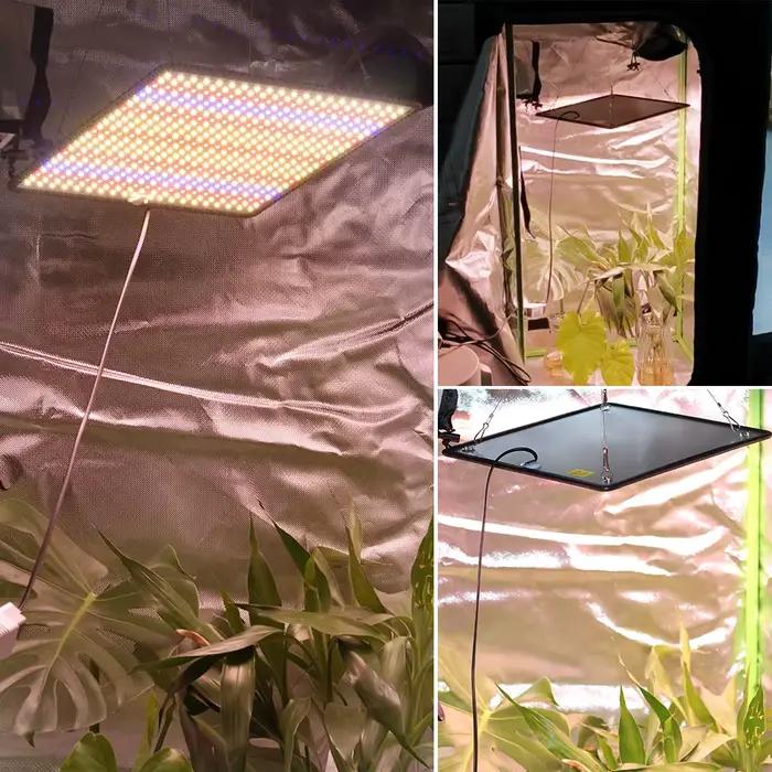 LED élèvent la lumière spectre complet Phyto lampe AC85-240V 40W pour la lumière de croissance des plantes de tente de culture intérieure