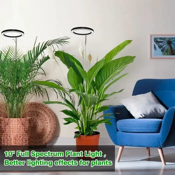 LED élèvent la lumière spectre complet plante lampe de croissance pour plantes d'intérieur hauteur réglable réglable réglable 10 "grande plante lumière avec minuterie