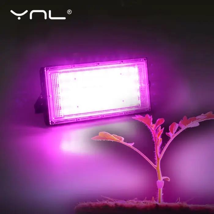 Lampe Horticole de Croissance IP65, 50W, AC 220V, pour Plantes, Tente, Fleurs, Semis, Éclairage d'Niket d'Extérieur