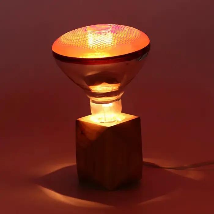 Lampe chauffante épaisse pour volaille, ampoule d'élevage de haute qualité E27 100W/150W/200W/250W, lumière LED pour couveuse d'animaux domestiques, trappe chauffante pour poussins