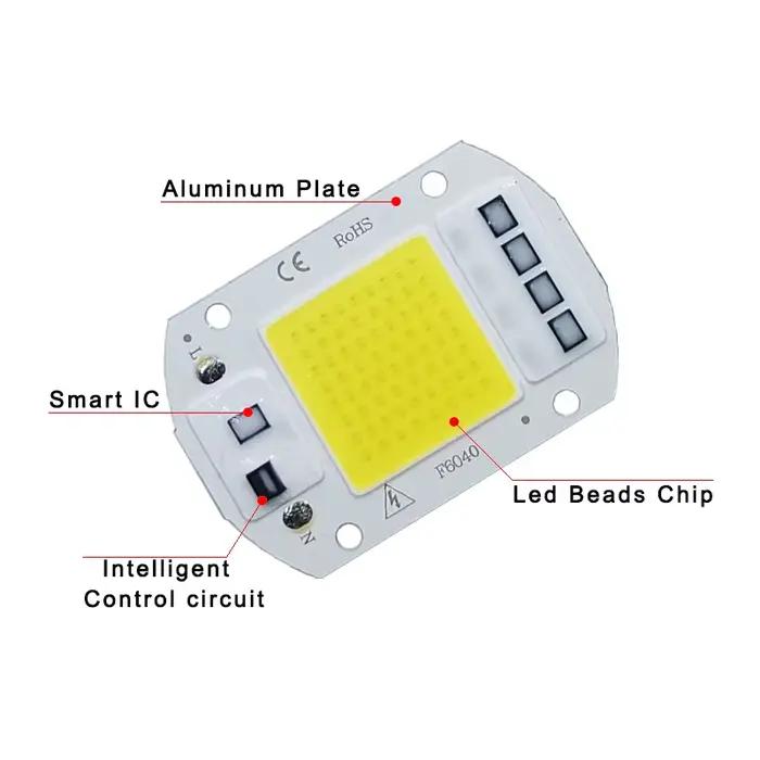 COB lampe à LED puce AC 220V LED ampoule 10W 20W 30W 50W IP65 haute puissance Smart IC bricolage projecteur ampoule projecteur extérieur puce lampe