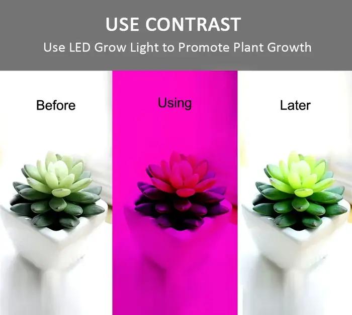 LED élèvent la lumière spectre complet LED bande lumineuse SMD5050 LED fleur plante Phyto lampes de croissance pour serre hydroponique plante en croissance