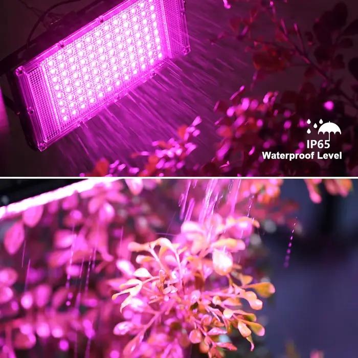 Led élèvent la lumière 50W 100W 150W 220V extérieur spectre complet LED plante croissance lampe projecteur LED projecteur réverbère LED projecteur