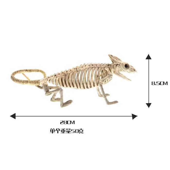 Squelette d'Halloween Piranha lézard araignée souris chauve-souris Scorpion squelette squelette Animal