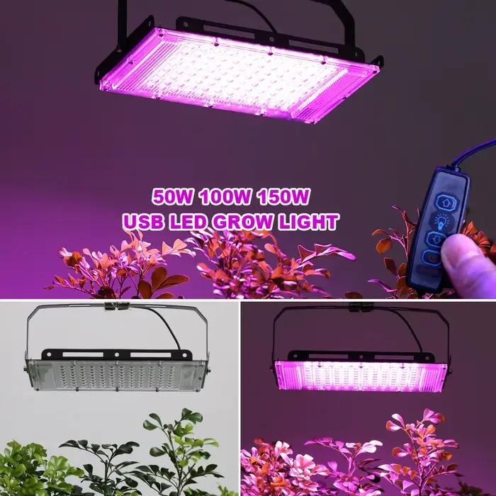 Led élèvent la lumière 50W 100W 150W 220V extérieur spectre complet LED plante croissance lampe projecteur LED projecteur réverbère LED projecteur