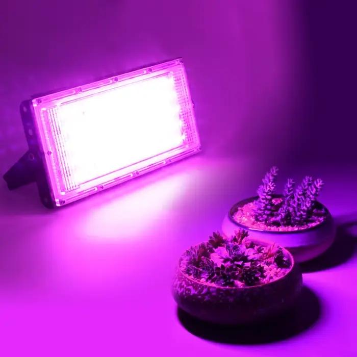 Lampe Horticole de Croissance IP65, 50W, AC 220V, pour Plantes, Tente, Fleurs, Semis, Éclairage d'Niket d'Extérieur