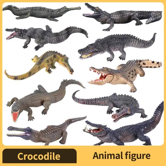 Figurine de Crocodile Alligator, modèle en plastique, jouet éducatif amusant pour garçons, filles et enfants âgés de 18 mois et plus
