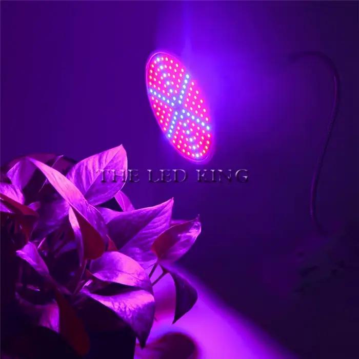 Lampe de culture LED E27, spectre complet, 4W 50W 60W, AC110V 220V, pour plantes d'intérieur, IR UV, pour système hydroponique et floraison