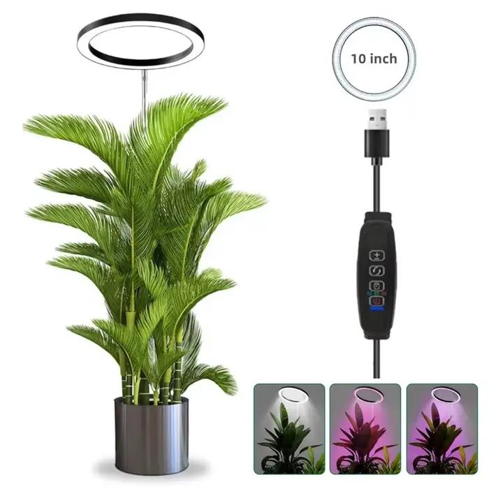 LED élèvent la lumière spectre complet plante lampe de croissance pour plantes d'intérieur hauteur réglable réglable réglable 10 "grande plante lumière avec minuterie