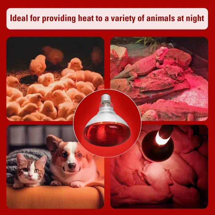 Lampe chauffante infrarouge jour et nuit, 100W/150W/200W/250W/275W, ampoule rouge pour couveuse, poulailler, serpent, amphibien, Animal de compagnie, Reptile