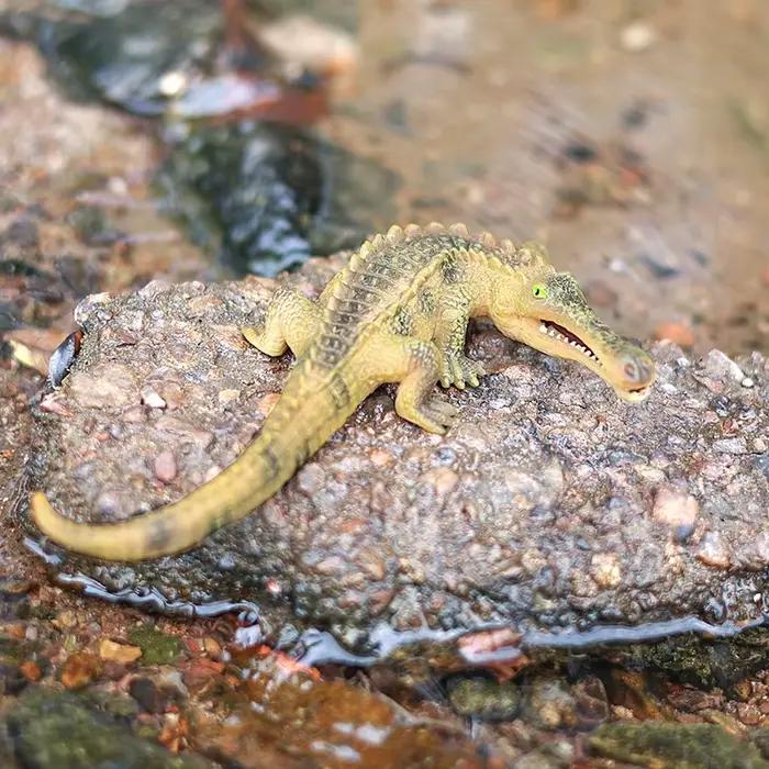 Figurine de Crocodile Alligator, modèle en plastique, jouet éducatif amusant pour garçons, filles et enfants âgés de 18 mois et plus
