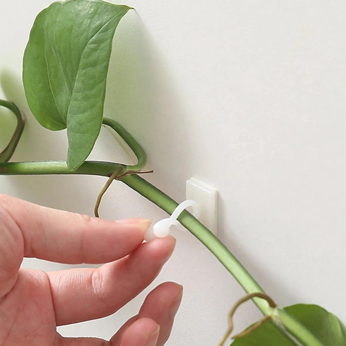 Clips de Fixation Murale en Rotin pour Plantes d'Escalade