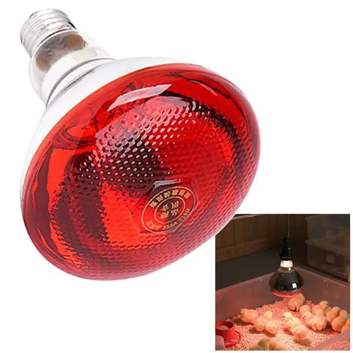 Lampe chauffante infrarouge pour couveuse d'animaux, pour porcelets et poussins