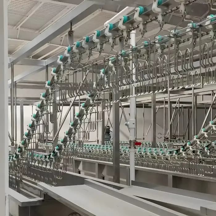 Ligne d'abattage de volailles, équipement d'abattoir, machine de traitement des volailles