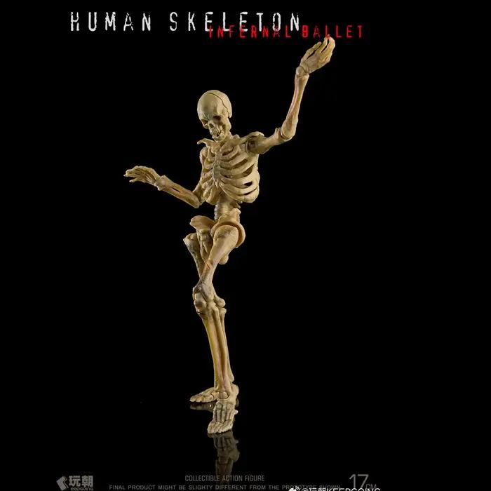 Figurine articulée de squelette humain à l'échelle 1/12 | Enseignement de la biologie | Modèle d
