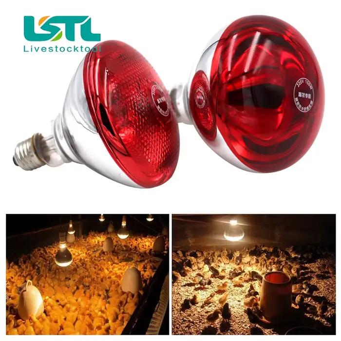 220V bétail animaux lampe chauffante pour animaux de compagnie ampoule conservation thermique chaleur rayon infrarouge pour Reptile amphibien animal de compagnie 100/150/200/275W