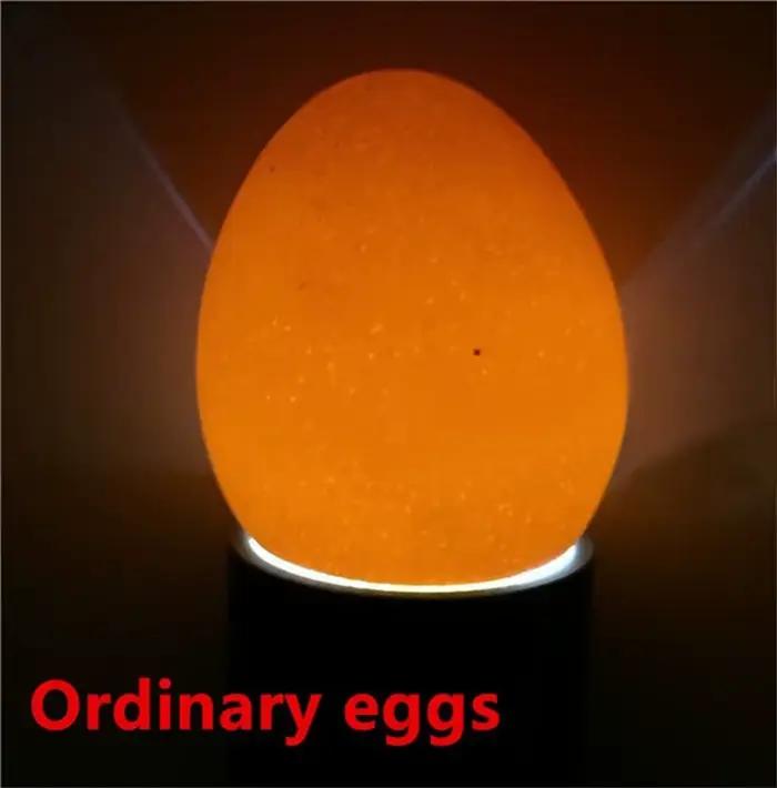 Incubateur Eggtester lampe à bougies d'œufs 9 LED équipement d'incubation Super froid outil de poulet LED Eggtester lumière d'œuf 1 pièce