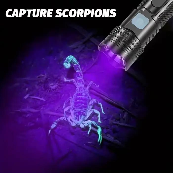 Lampe de poche UV USB Rechargeable 365nm lumière noire Mini lampe de poche Portable puissante LED lumières ultraviolettes torche