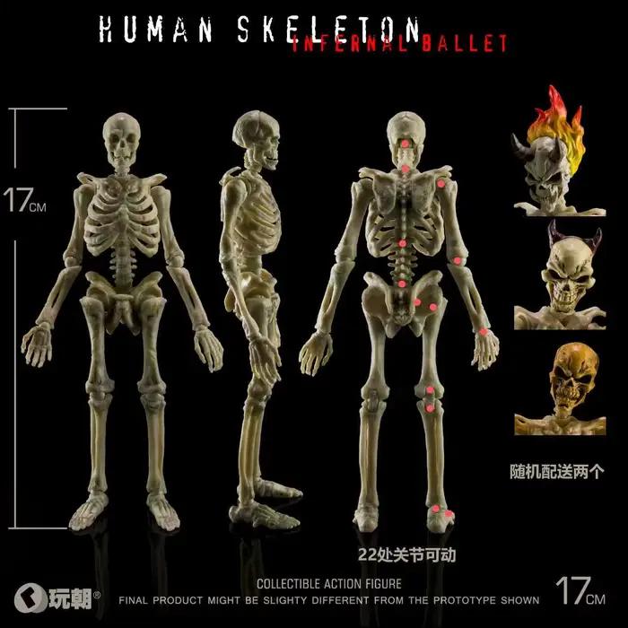 Figurine articulée de squelette humain à l'échelle 1/12 | Enseignement de la biologie | Modèle de collection d'horreur, jouet cadeau pour Halloween