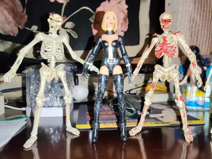 Modèle de squelette articulé 1/12 pour l'enseignement de la biologie et les collectionneurs – Figurine d'action humaine à collectionner