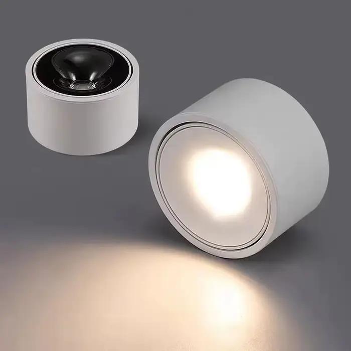 Projecteur LED réglable avec tube lumineux ultra