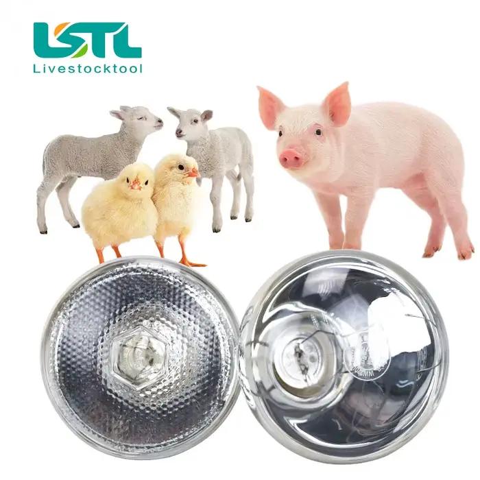 220V bétail animaux lampe chauffante pour animaux de compagnie ampoule conservation thermique chaleur rayon infrarouge pour Reptile amphibien animal de compagnie 100/150/200/275W