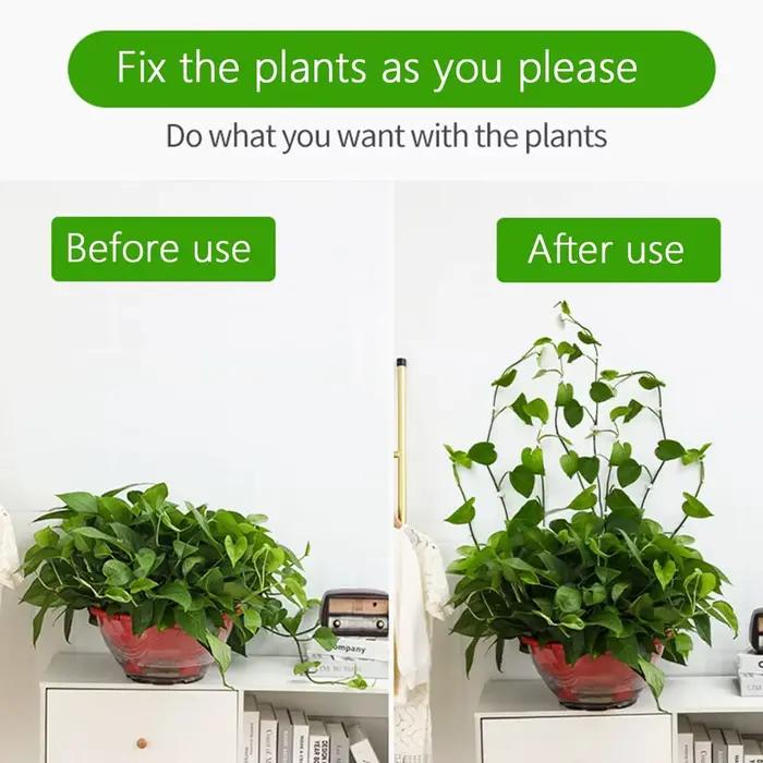 Clips de Fixation Murale en Rotin pour Plantes d'Escalade