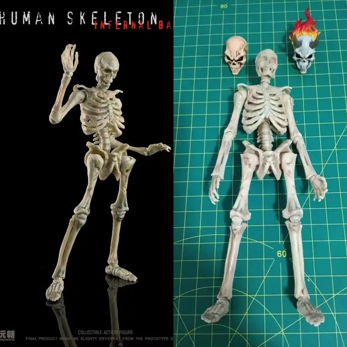 Modèle de squelette articulé 1/12 pour l'enseignement de la biologie et les collectionneurs – Figurine d'action humaine à collectionner