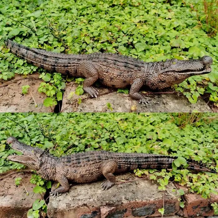 Figurine de jouet de Crocodile, Figurine de Crocodile de la vie sauvage avec mâchoire mobile, pour l'éducation et le jeu amusant, pour garçons et filles