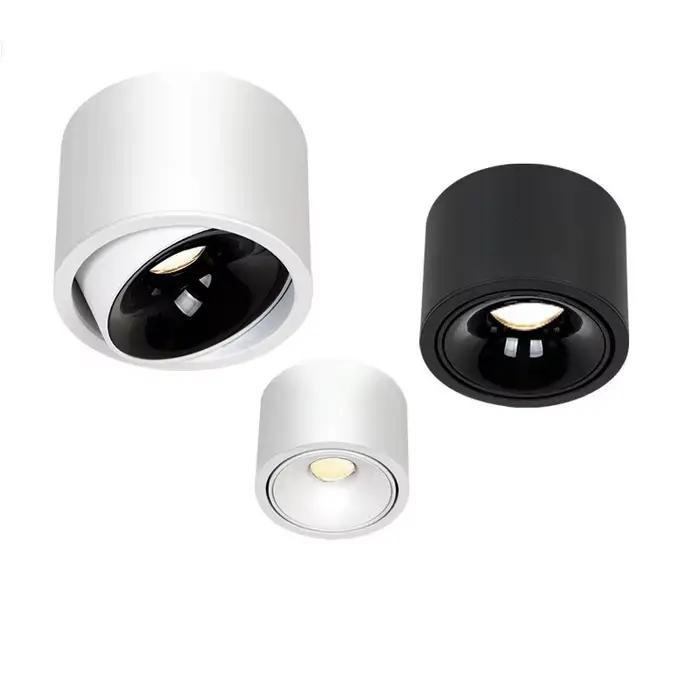 Projecteur LED réglable avec tube lumineux ultra