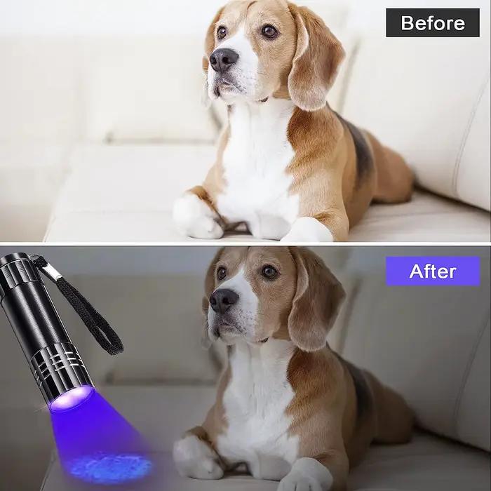 Mini lampe de poche UV lampe ultraviolette 395-400nm lampes de poche à lumière noire torche UV détecteur de lumière UV pour tache d'urine animale de compagnie tache sèche