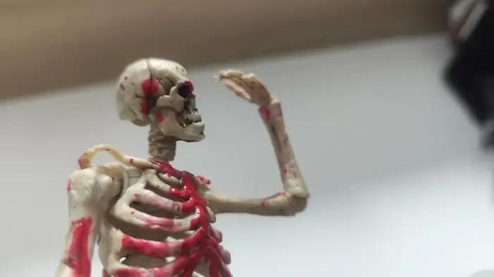 Modèle de squelette articulé 1/12 pour l'enseignement de la biologie et les collectionneurs – Figurine d'action humaine à collectionner