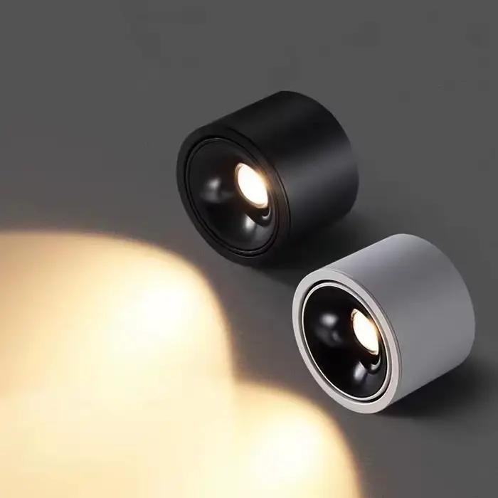 Projecteur LED réglable avec tube lumineux ultra