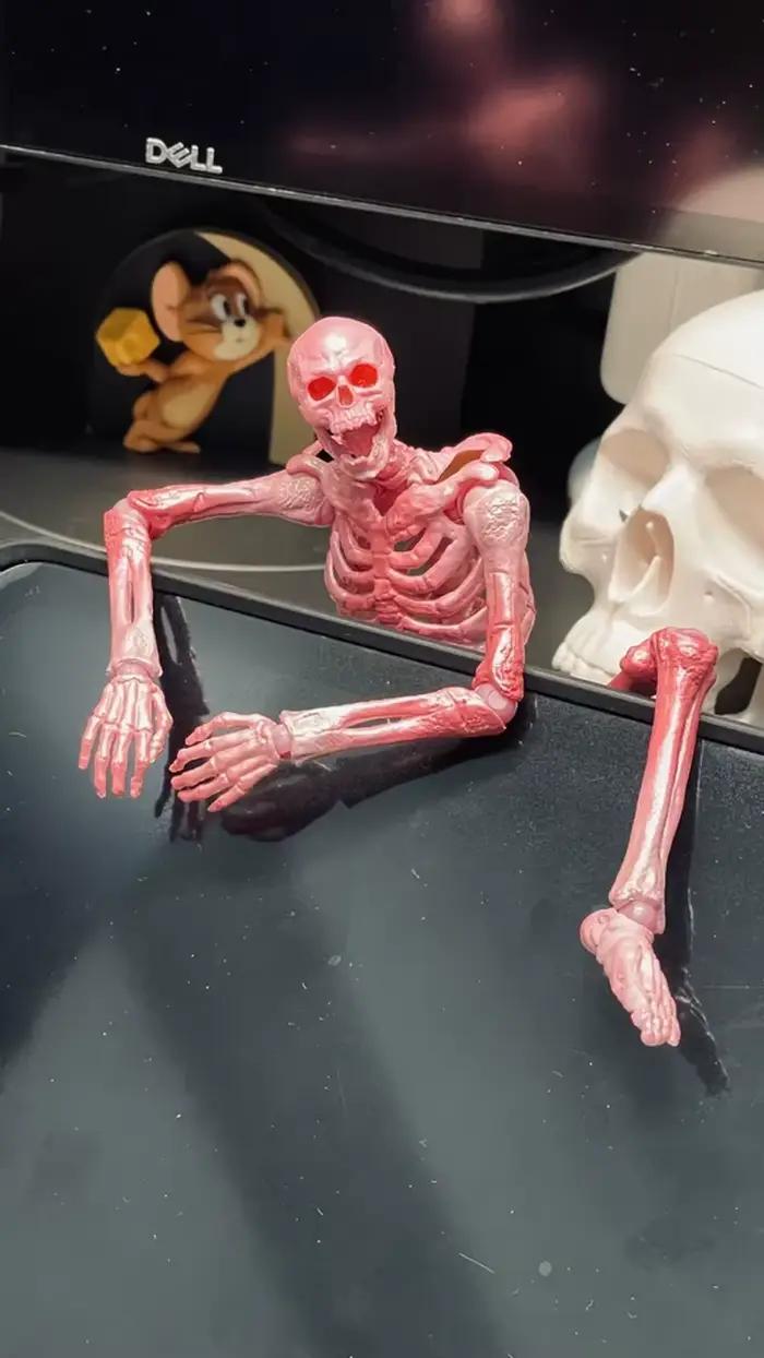 Modèle de squelette articulé 1/12 pour l'enseignement de la biologie et les collectionneurs – Figurine d'action humaine à collectionner