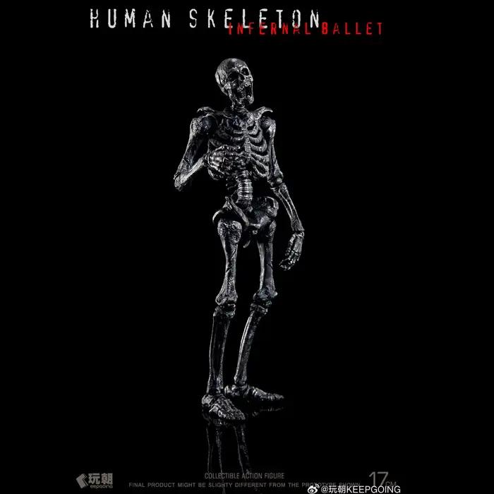 Figurine articulée de squelette humain à l'échelle 1/12 | Enseignement de la biologie | Modèle de collection d'horreur, jouet cadeau pour Halloween