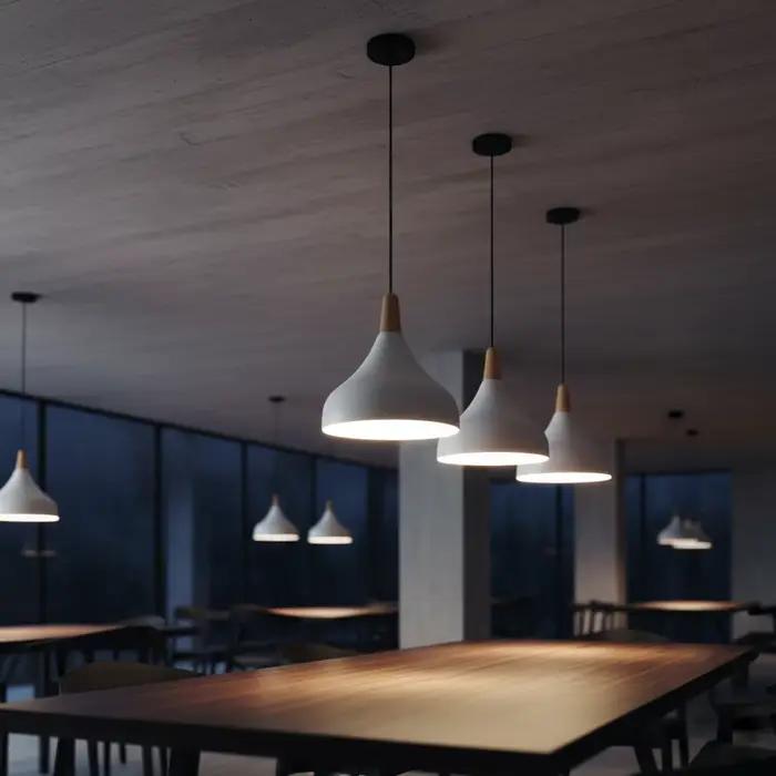 Lampes suspendues modernes nordiques en fer noir vintage